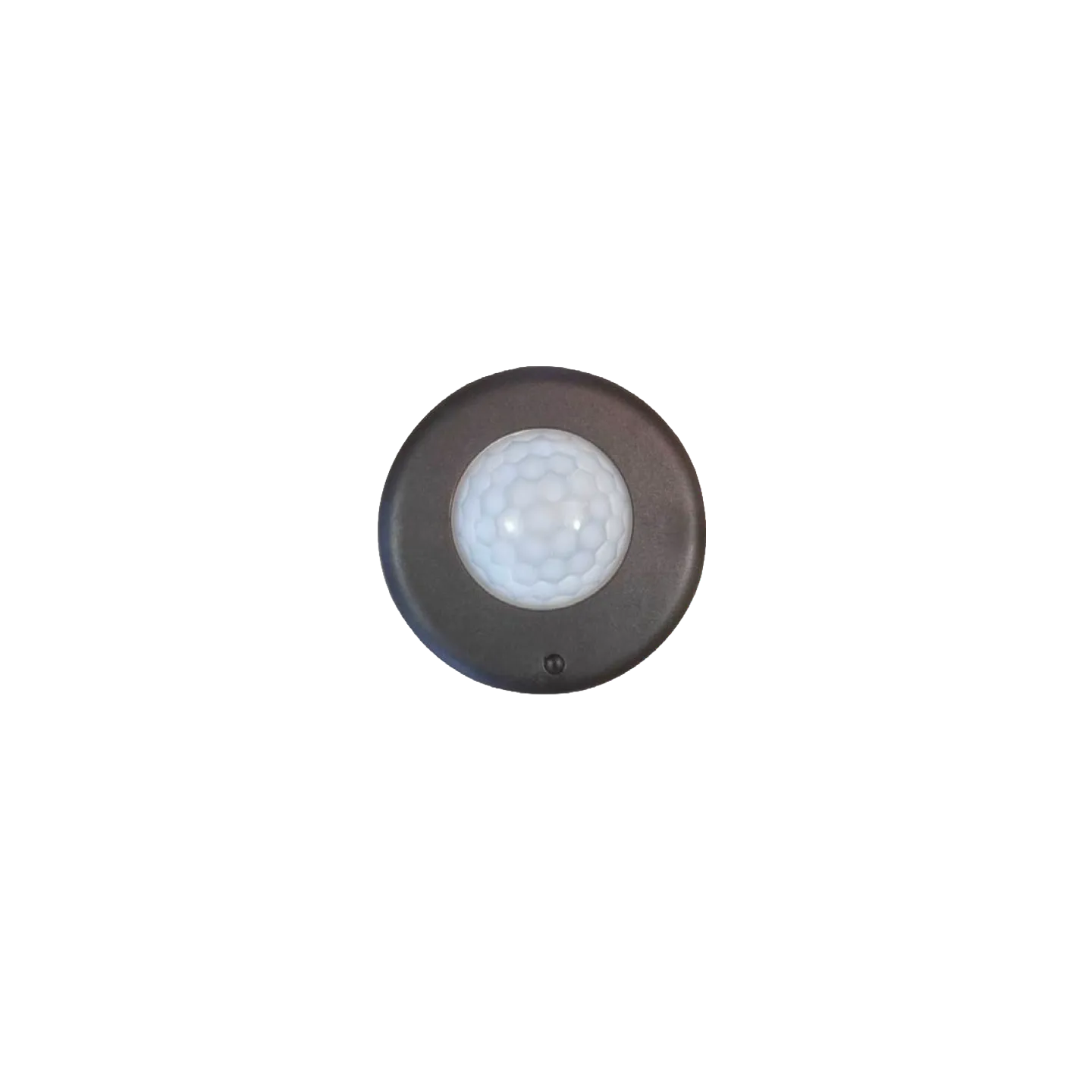 Direct Connect Occ. & Daylight Sensor