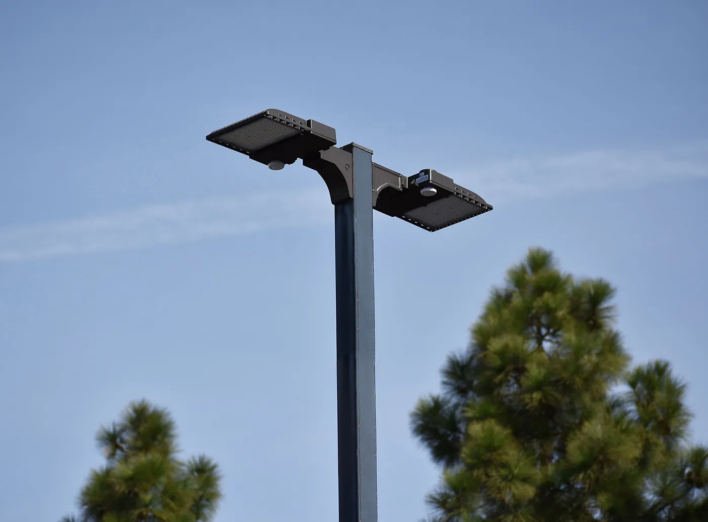 Area lights installed in a parking lot