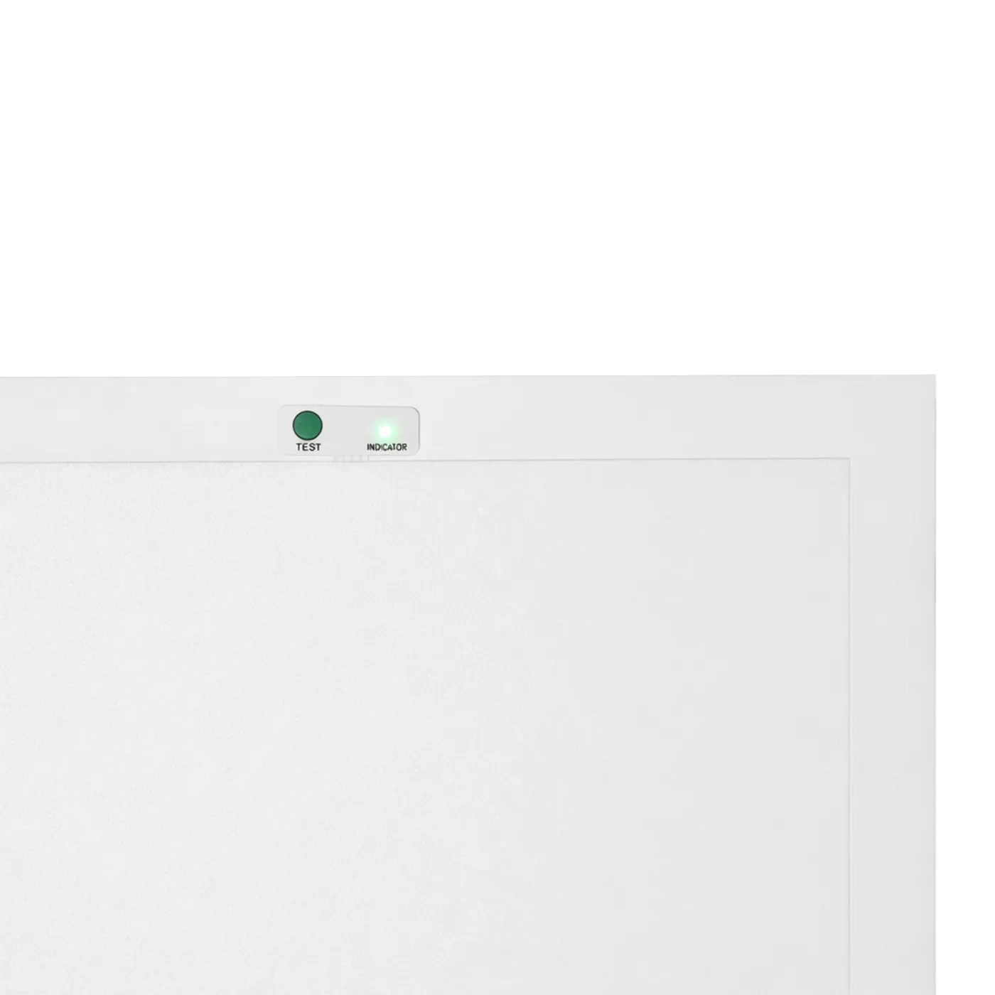 Adjustable panel light button