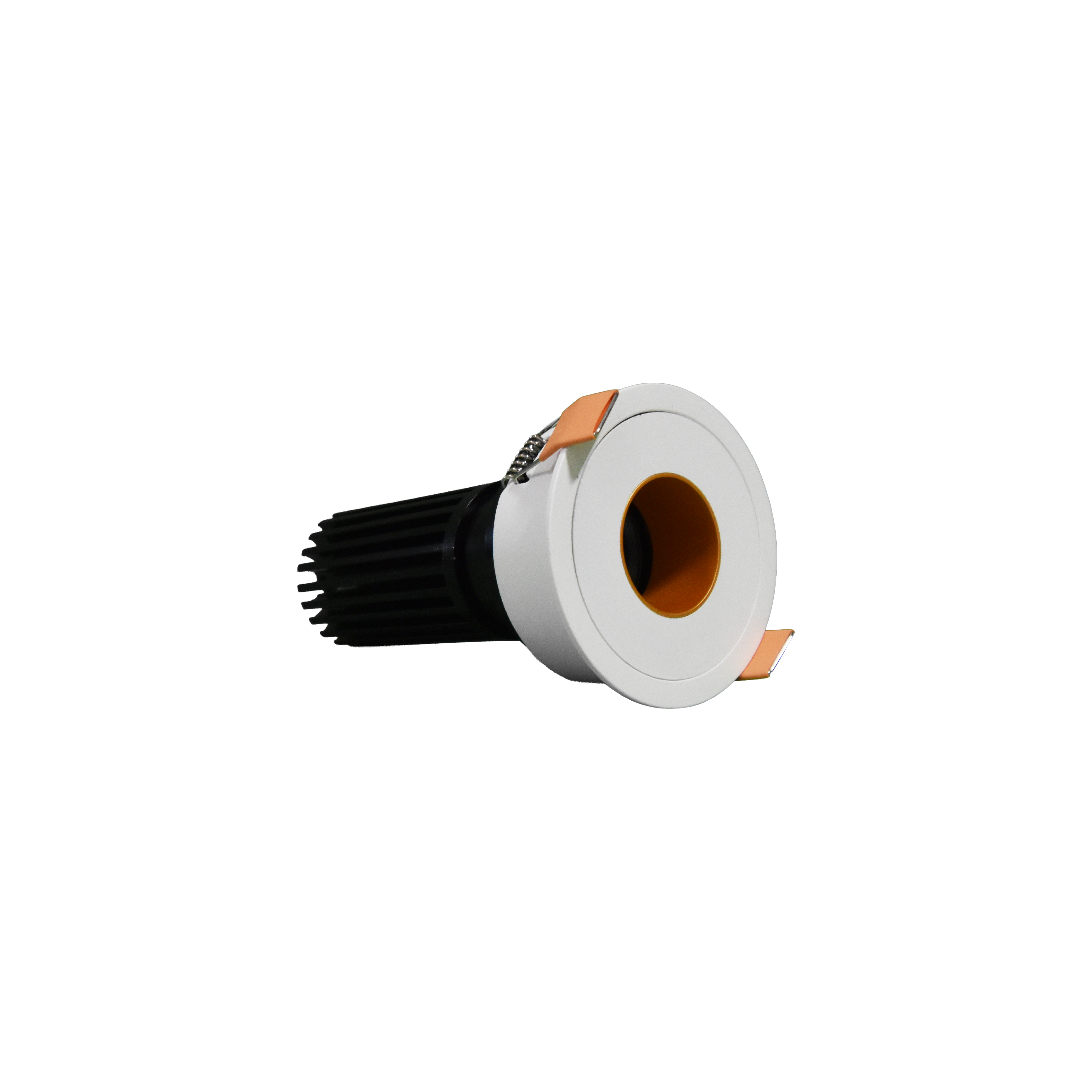 Architectural Downlight